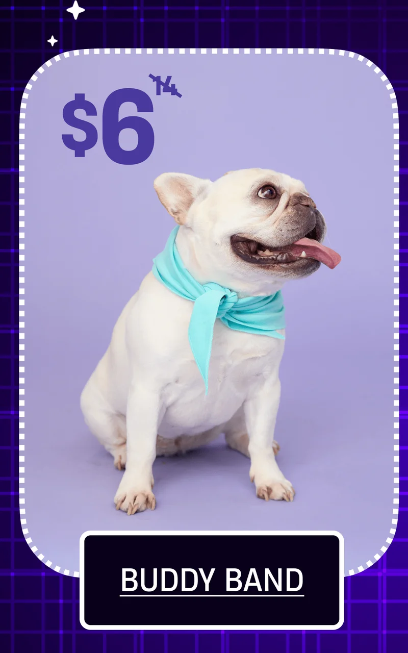 $6 | Buddy Band $6 | Buddy Band