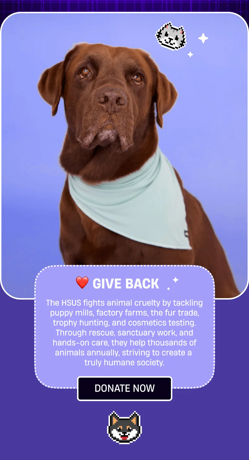 Give Back. The HSUS fights animal cruelty by tackling puppy mills, factory farms, the fur trade, trophy hunting, and cosmetics testing. Through rescue, sanctuary work, and hands-on care, they help thousands of animals annually, striving to create a truly humane society. | Donate Now Give Back. The HSUS fights animal cruelty by tackling puppy mills, factory farms, the fur trade, trophy hunting, and cosmetics testing. Through rescue, sanctuary work, and hands-on care, they help thousands of animals annually, striving to create a truly humane society. | Donate Now