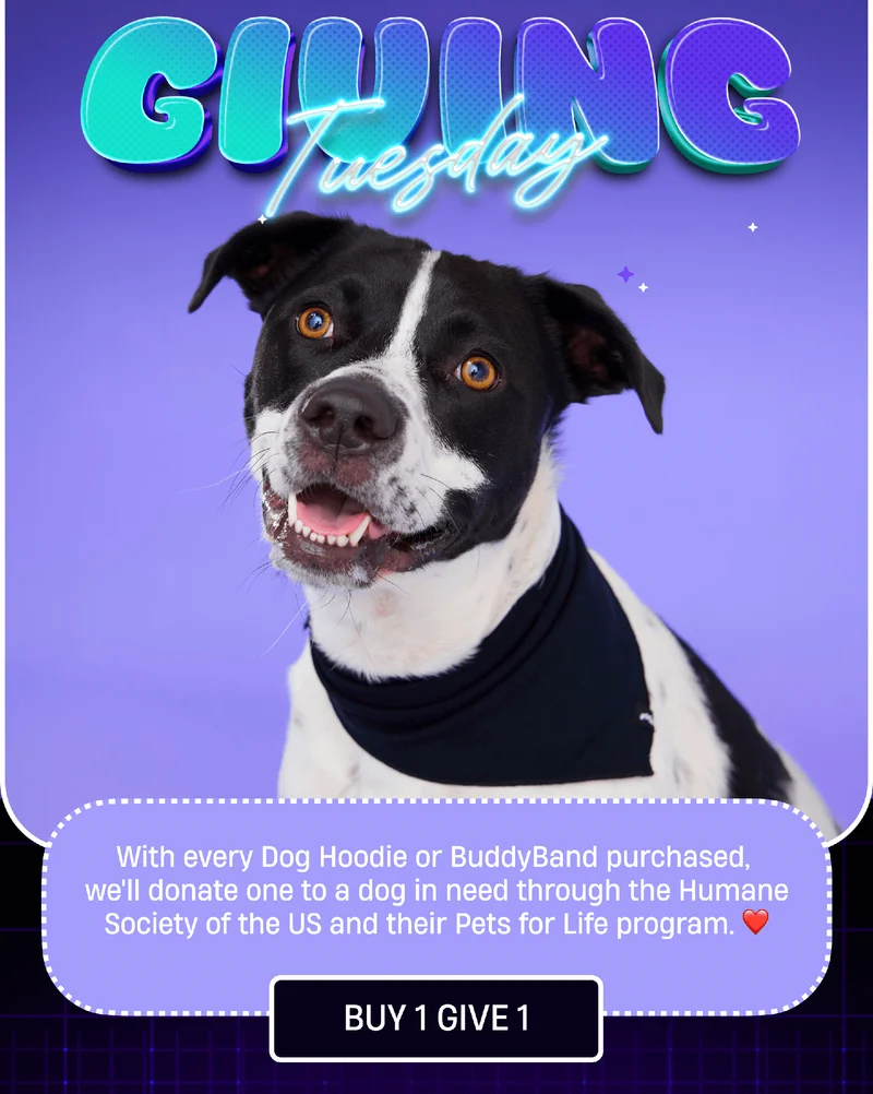 Giving Tuesday | With every Dog Hoodie or BuddyBand purchased, we'll donate one to a dog in need through the Humane Society of the US and their Pets for life program. | Buy 1 Give 1 Giving Tuesday | With every Dog Hoodie or BuddyBand purchased, we'll donate one to a dog in need through the Humane Society of the US and their Pets for life program. | Buy 1 Give 1