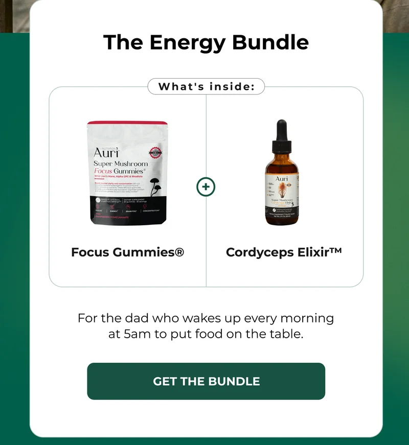 THE ENERGY BUNDLE
