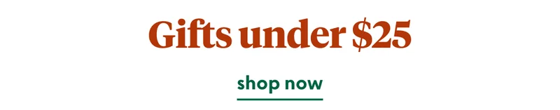 valentines-gifts-under-25