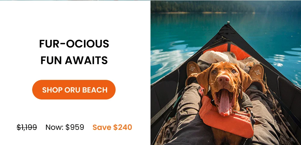 Fur-ocious fun awaits, shop the oru beach