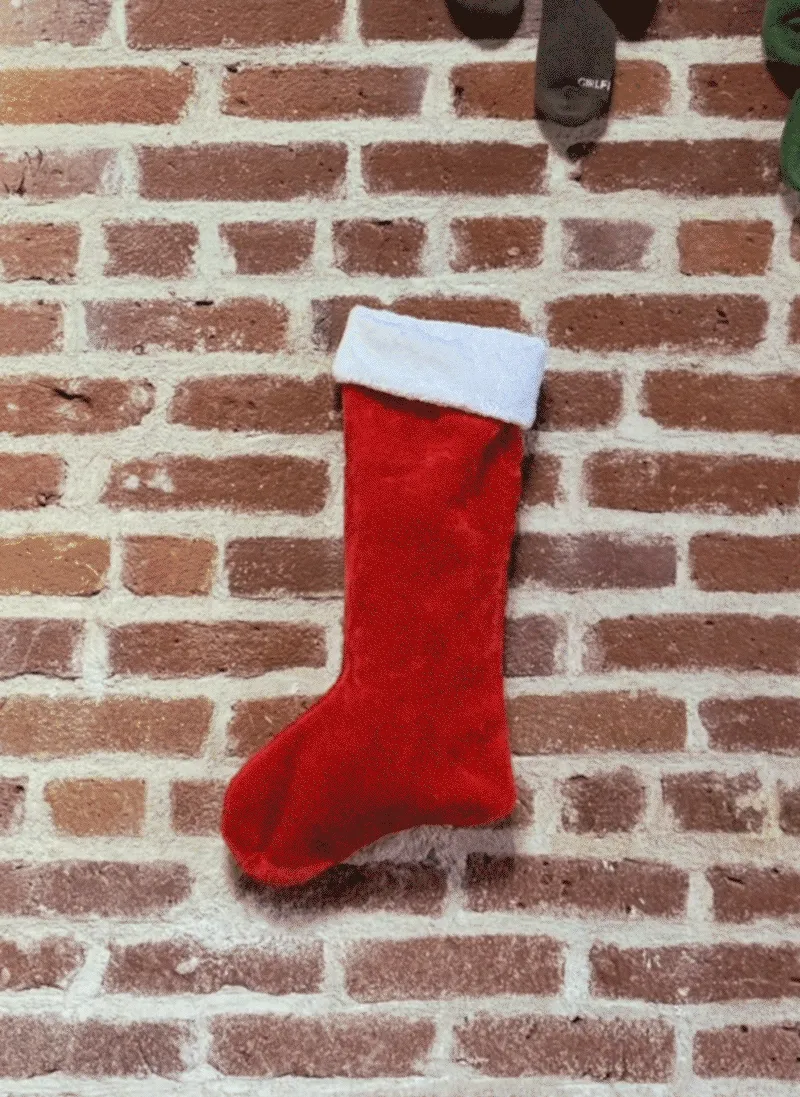 Girlfriend Collective Socks and Underwear