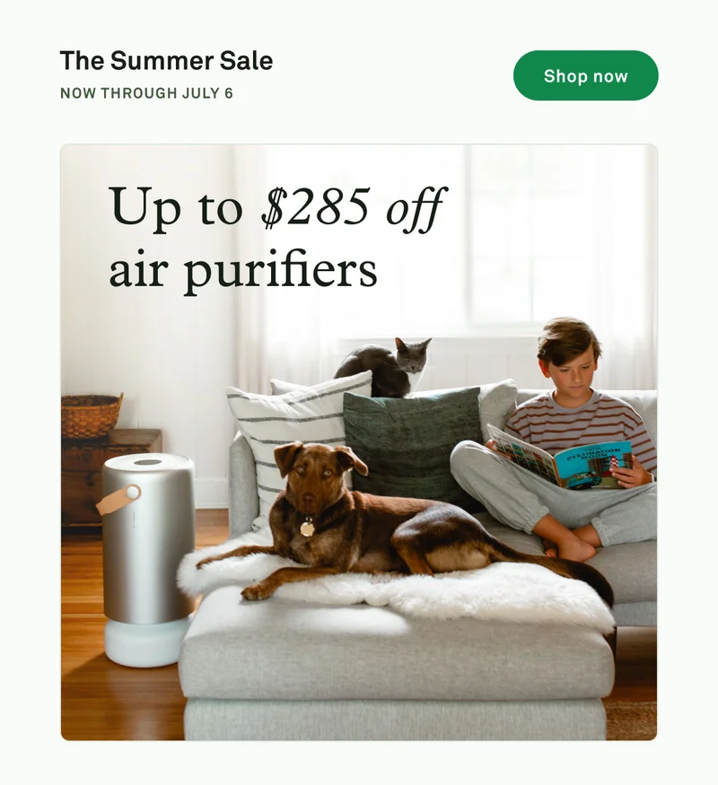 The Summer Sale: Up to $285 off air purifiers