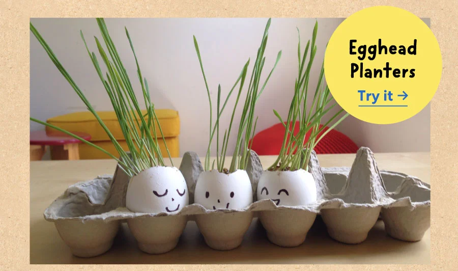 Egghead Planters