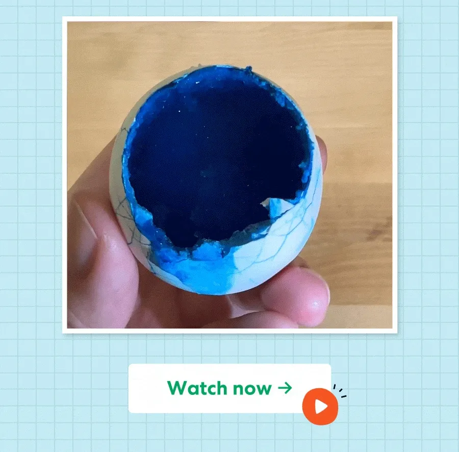 Watch now ->