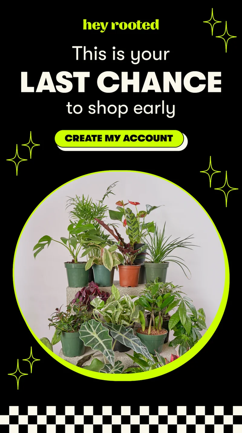 create my account