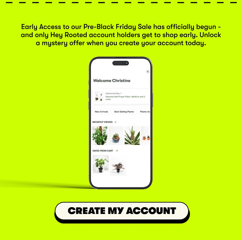 create my account