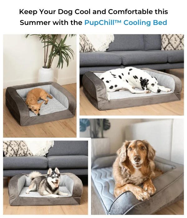 PupChill dog bed