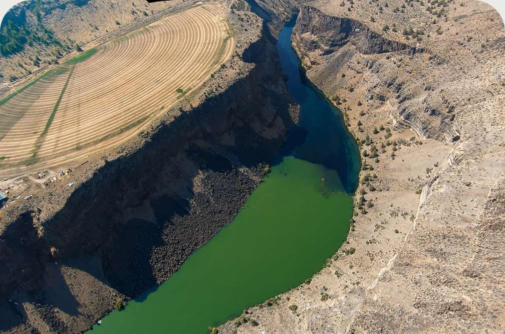 A florescent green reservoir from an algae bloom in the water.