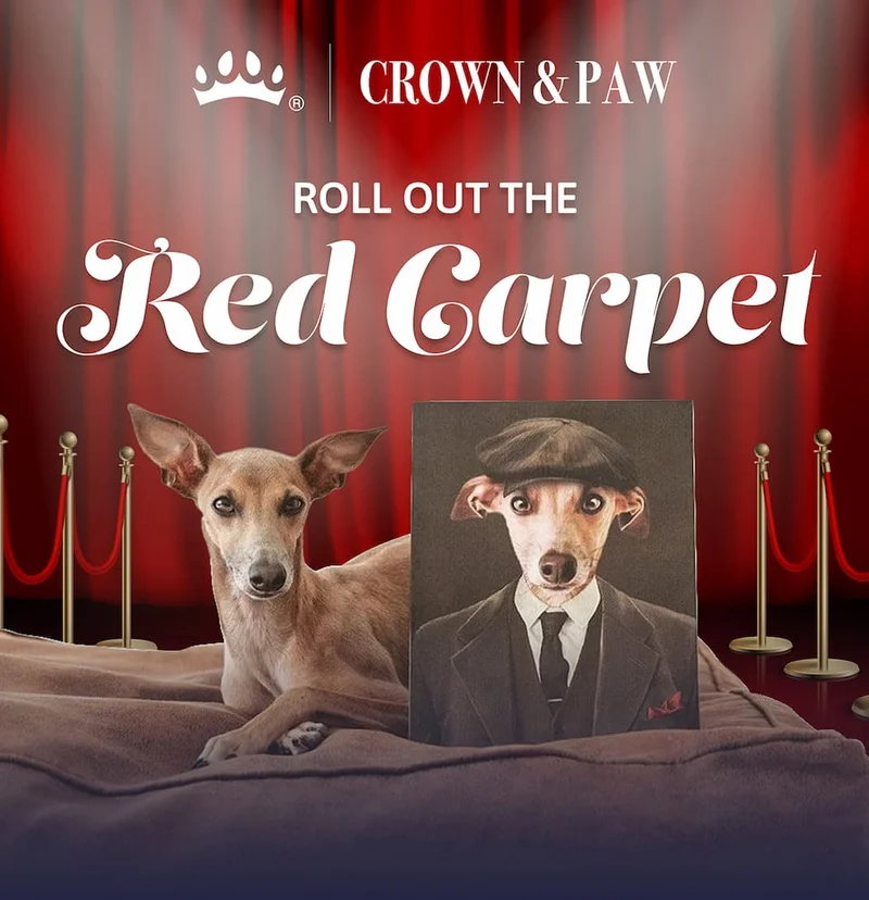 Roll out the red carpet