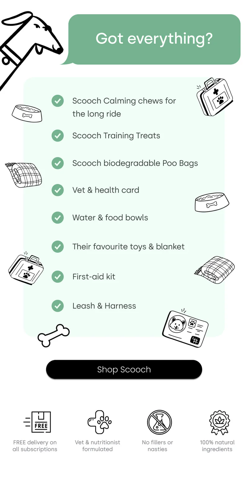 Your list - Got everything? - Shop Scooch