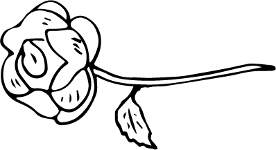 A line drawing of a rose