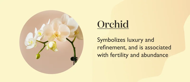 Orchid: Symbolizes luxury and refinement, and is associated with fertility and abundance.