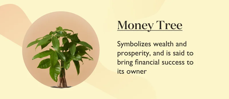 Money Tree: Symbolizes wealth and prosperity, and is said to bring financial success to its owner.