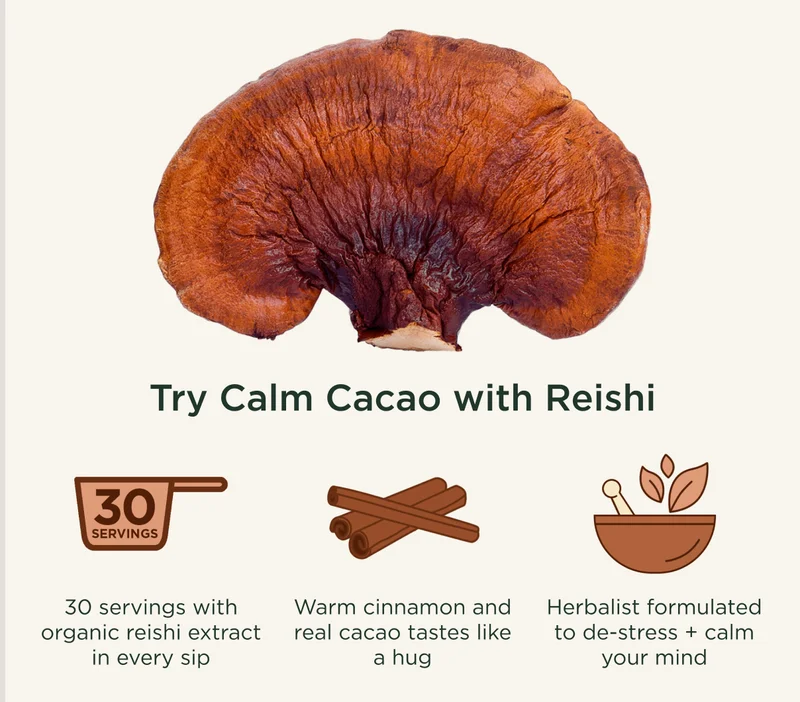 Try functional mushrooms like reishi - 30 servings with organic reishi extract in every sip; Warm cinnamon and real cacao tastes like a hug; Herbalist formulated to de-stress + calm your mind