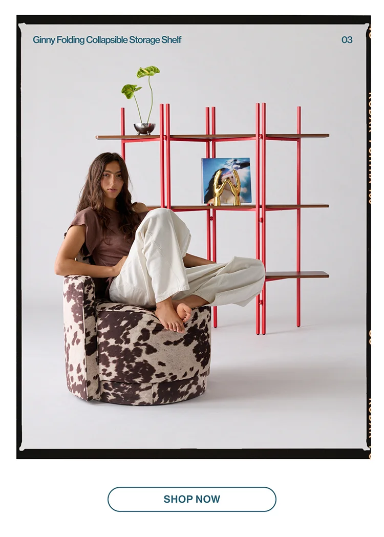 IMAGE-GINNY STORAGE SHELF