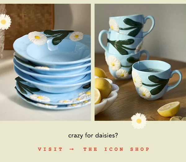 Visit the icon shop