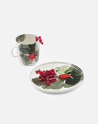 Oiva / Valssi Salad plate