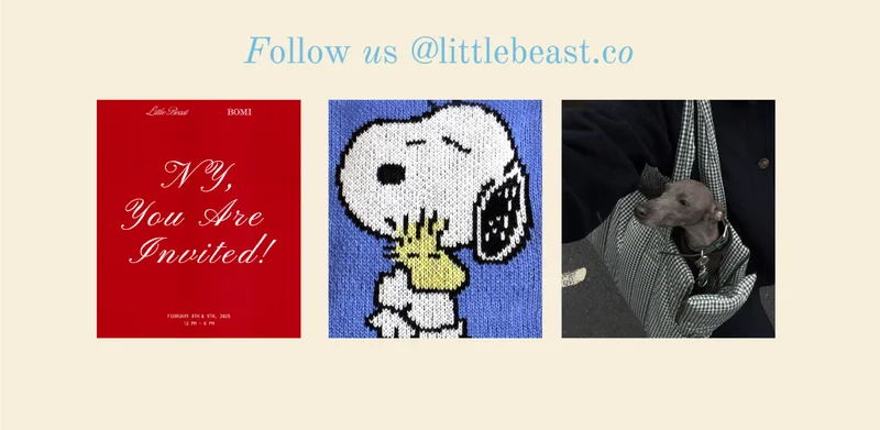 Follow us on Instagram