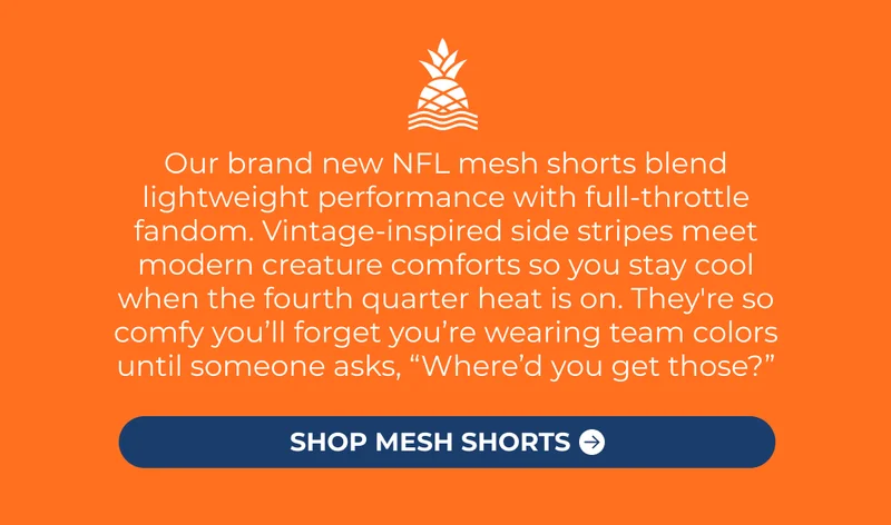 SHOP NEW NFL BY CHUBBIES MESH SHORTS