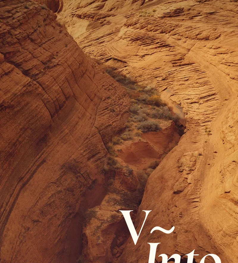 V~Into