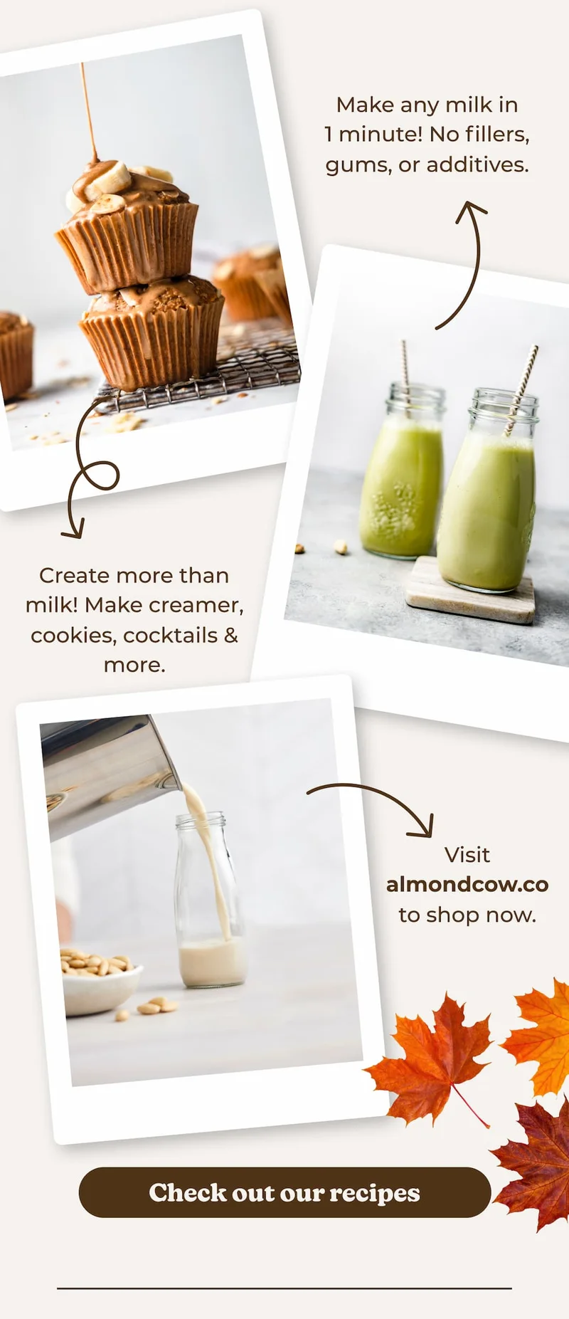 Check out our recipes