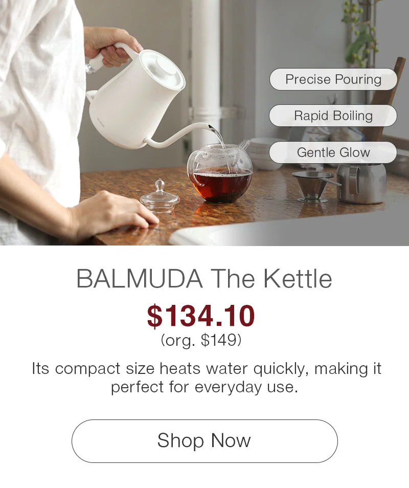 Shop BALMUDA The Kettle