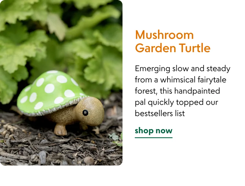 shop mushroom-garden-turtle