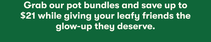 Grab our pot bundles and save up to $21 while giving your leafy friends the glow-up they deserve!