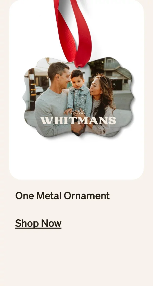 One Metal Ornament