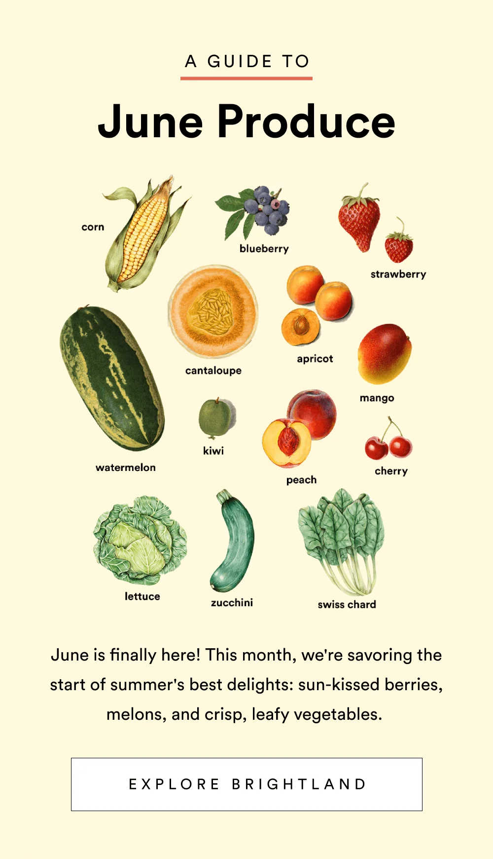 Your Guide to June Produce [ Explore Brightland ]
