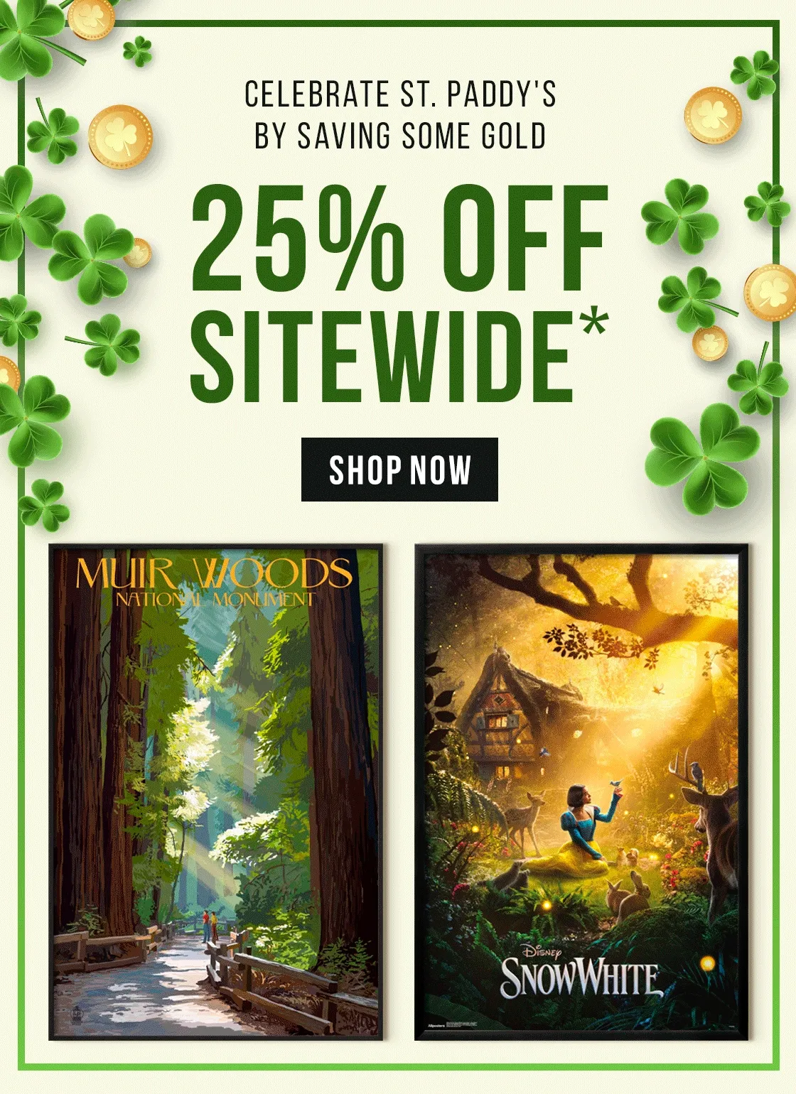 Celebrate St. Paddy’s by saving some gold - 25% off Sitewide*