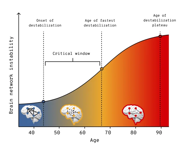 Brain network instability