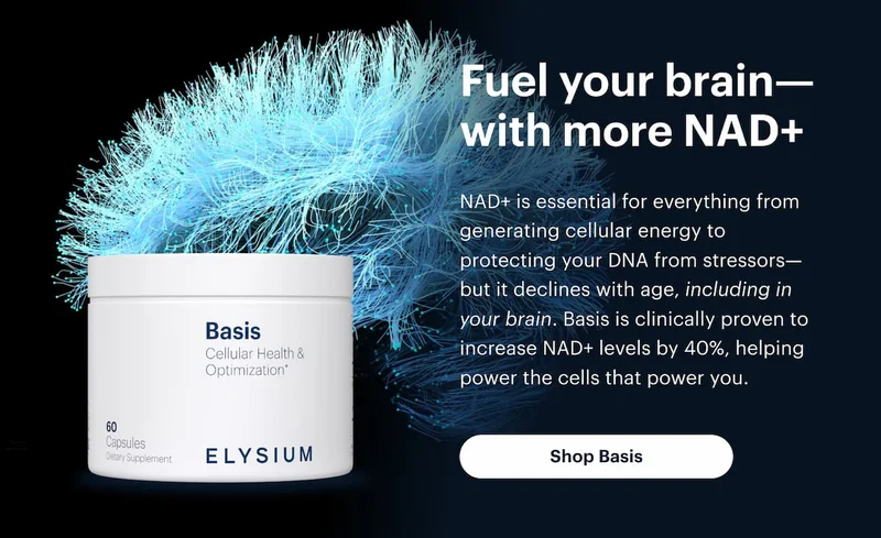 Fuel your brain—with more NAD+
