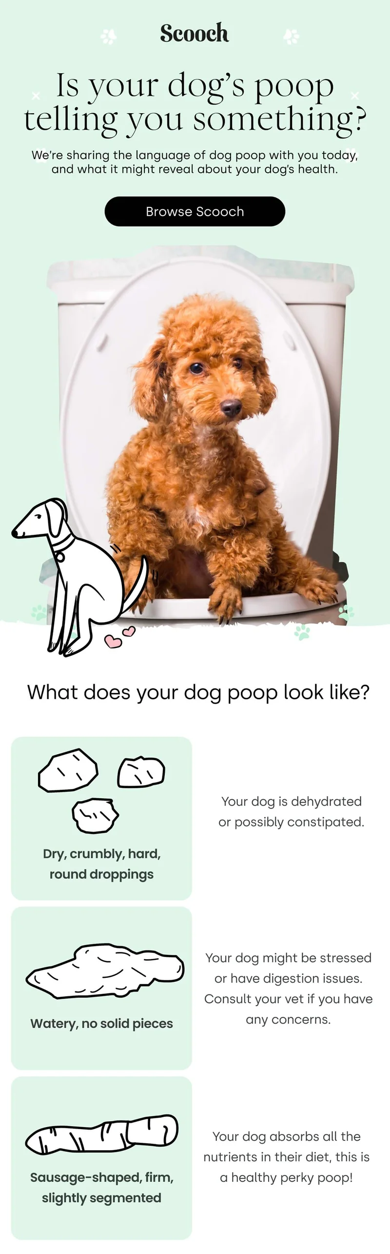 Is your dog’s poop telling you something? - Browse Scooch