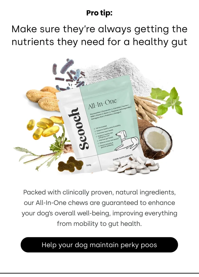 Pro tip: Make sure to give them all the nutrients they need.