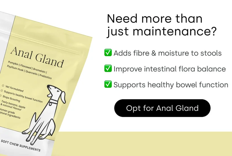 Need more than just maintenance? Opt for Anal Gland