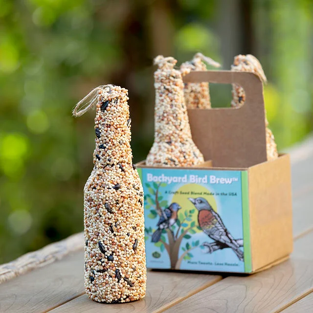 Bird Brew Seed Feeder 4 Pack