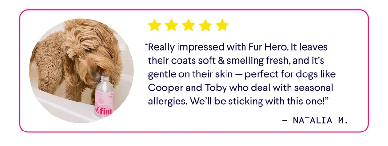 UGC of Golden Doodle in a tub sniffing a bottle of Fur Hero. Review reads: “Really impressed with Fur Hero. It leaves their coats soft & smelling fresh, and it’s gentle on their skin — perfect for dogs like Cooper and Toby who deal with seasonal allergies. We’ll be sticking with this one!” –&nbsp;Natalia M.