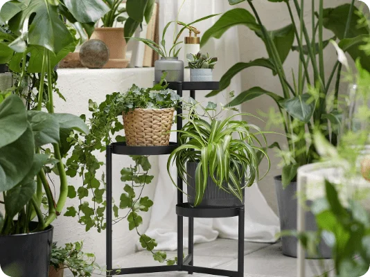 IKEA