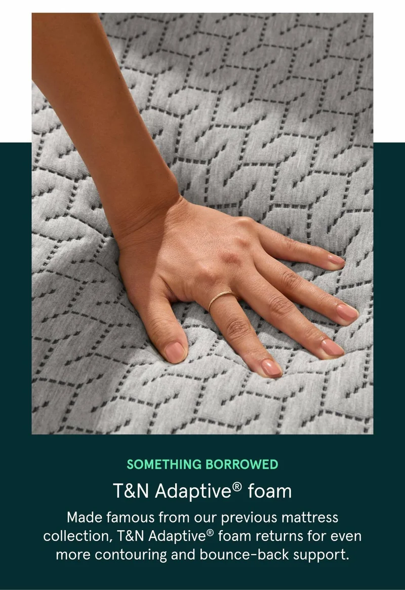 Something Borrowed | T&N Adaptive Foam