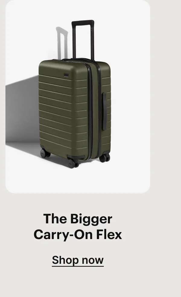 The Bigger Carry-On Flex