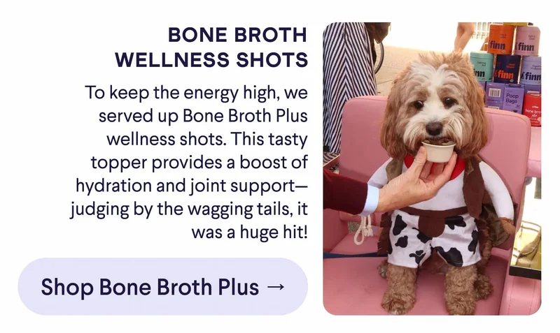 Text: Bone Broth Wellness Shots To keep the energy high, we served up Bone Broth Plus wellness shots. This tasty topper provides a boost of hydration and joint support— judging by the wagging tails, it was a huge hit! CTA: Shop Bone Broth Plus →