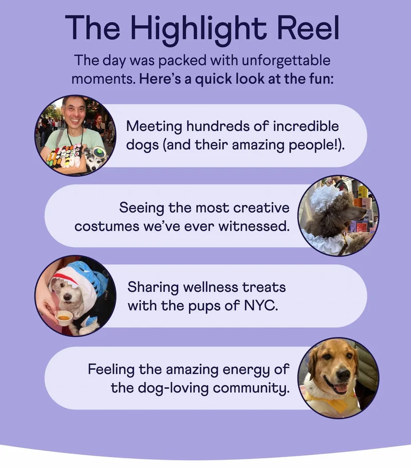 Text: The Highlight Reel – The day was packed with unforgettable moments. Here’s a quick look at the fun: Meeting hundreds of incredible dogs (and their amazing people!).  Seeing the most creative costumes we’ve ever witnessed. Sharing wellness treats with the pups of NYC. Feeling the amazing energy of the dog-loving community.