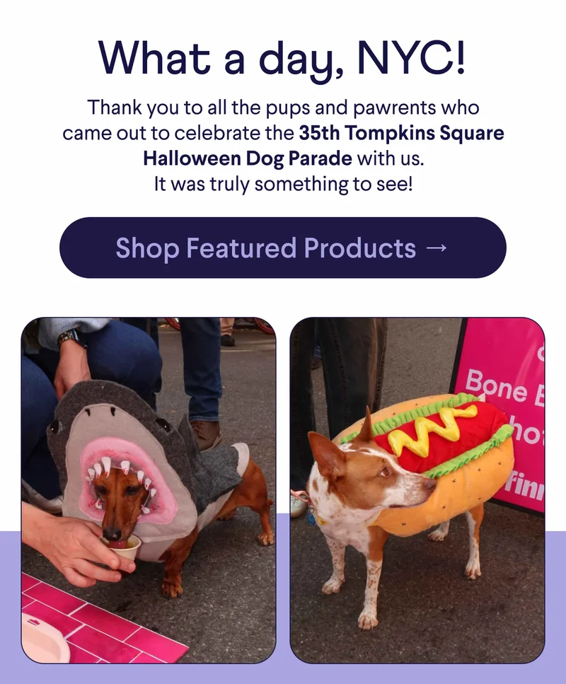 Text: What a day, NYC! Thank you to all the pups and pawrents who came out to celebrate the 35th Tompkins Square Halloween Dog Parade with us. It was truly something to see! CTA: Shop Featured Products → Photos of a wiener dog in a shark costume and a mixed breed dog in a hot dog costume
