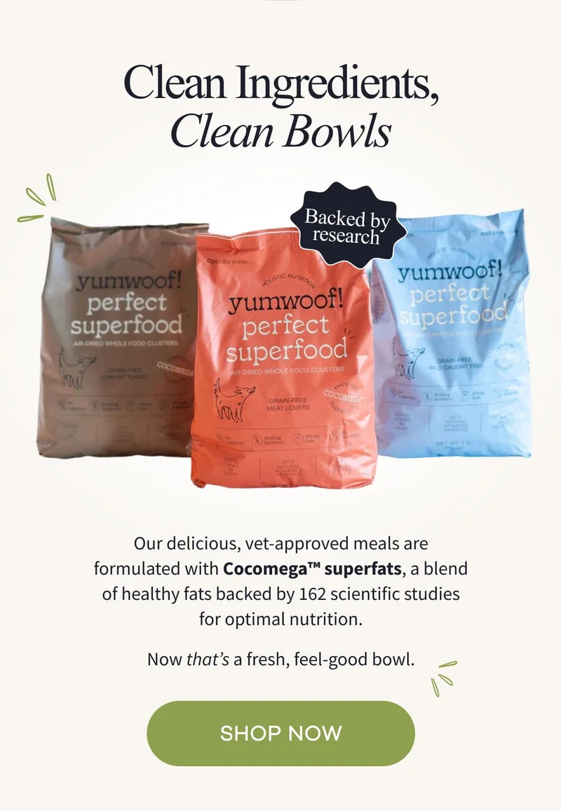 CLEAN INGREDIENTS, CLEAN BOWLS | Our delicious, vet-approved meals are formulated with Cocomega™ superfats, a blend of healthy fats backed by 162 scientific studies for optimal nutrition. Now that’s a fresh, feel-good bowl. | SHOP NOW