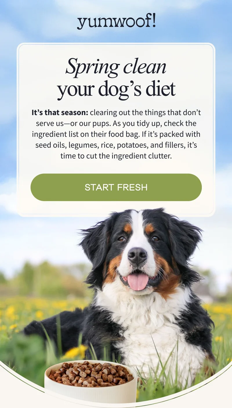 Yumwoof! | Spring Clean Your Dog’s Diet | It’s that season: clearing out the things that don’t serve us—or our pups. As you tidy up, check the ingredient list on their food bag. If it’s packed with seed oils, legumes, rice, potatoes, and fillers, it’s time to cut the ingredient clutter. | START FRESH