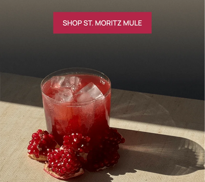 SHOP ST. MORITZ MULE
