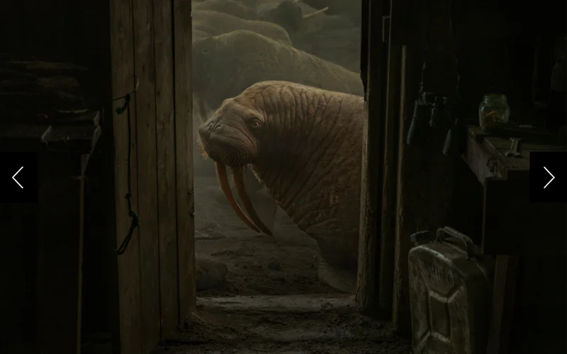 A walrus is seen through a doorway.